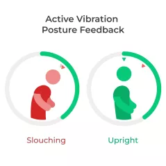 Upright GO 2 Premium: Votre Coach de Posture Intelligent pour un Dos Sain et Élégant